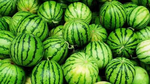 今日网爆热门吃瓜,揭秘娱乐圈最新热点事件！