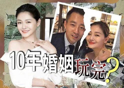 大s娱乐吃瓜,揭秘娱乐圈背后的真相与八卦